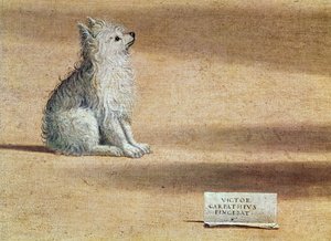 Visión de San Agustín, detalle del perro, 1502-08